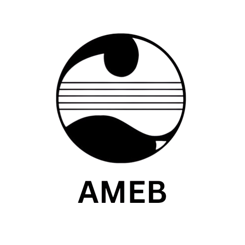 ameb removebg preview